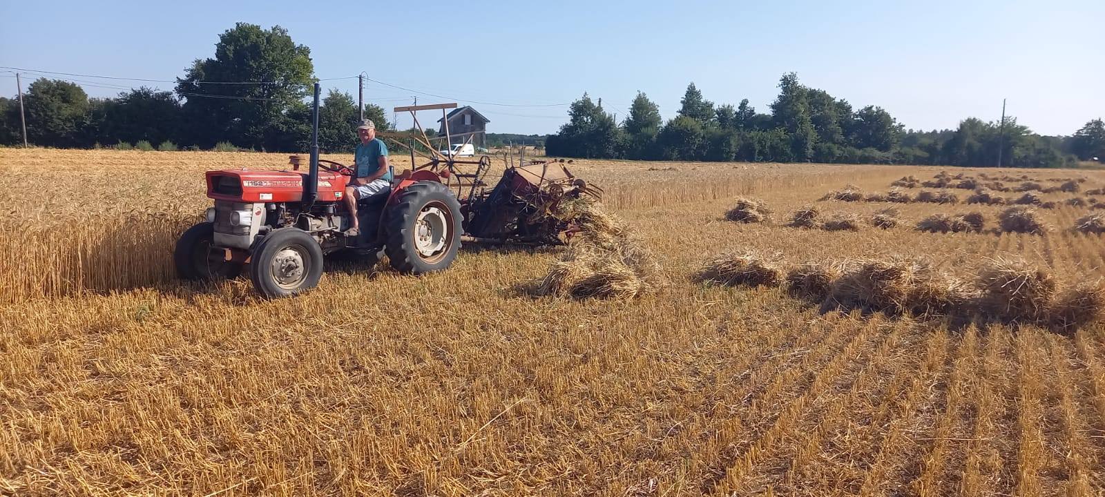 La récolte