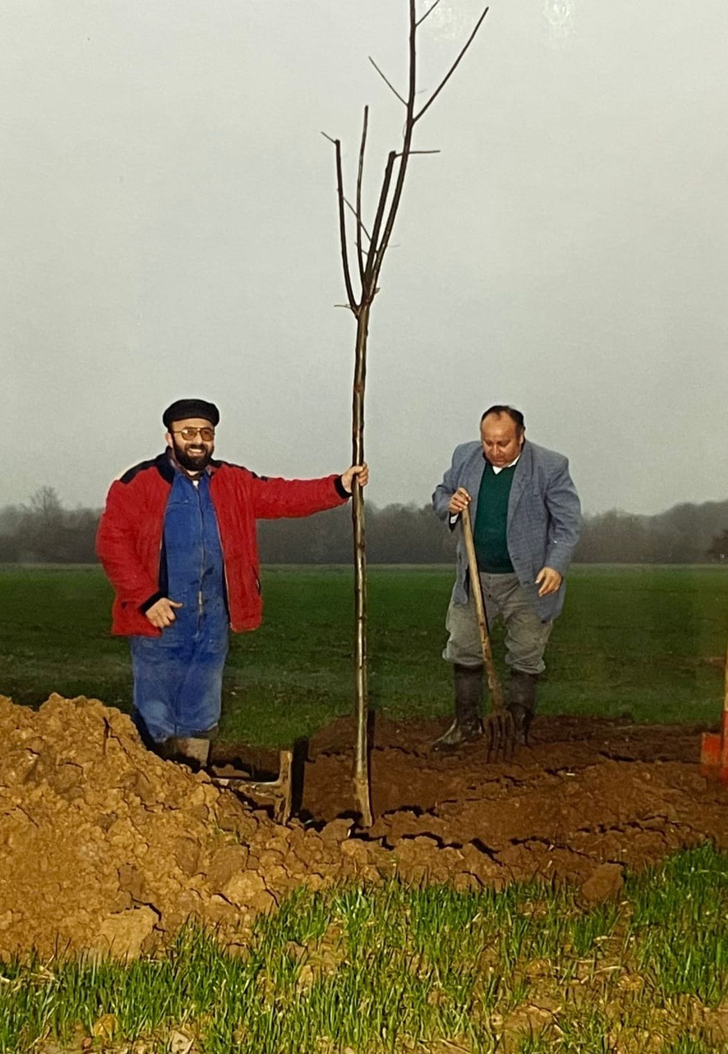 Plantation des arbres Plantation des arbres