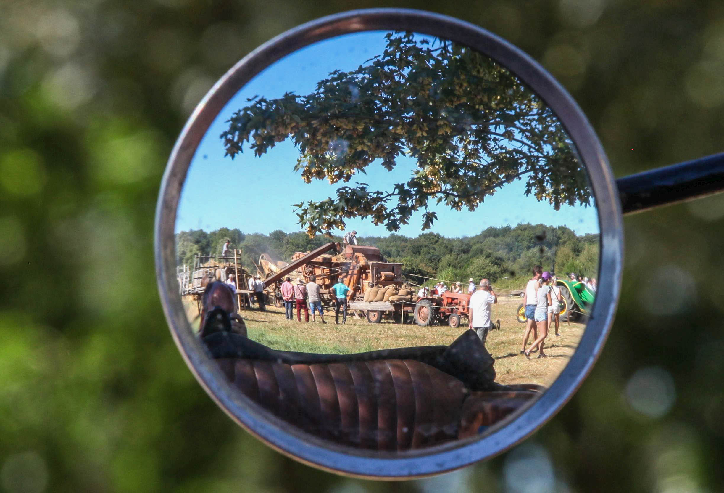 Reflet_Jan_Vens Reflet_Jan_Vens